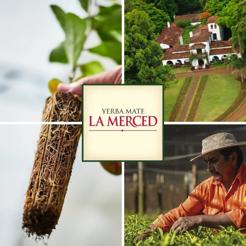 La Merced Campo Sur Pack (6×500 g)